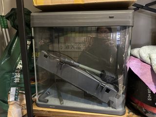 （分類：）位於 。 由 phs818 提交（商品編號 1426802468，圖片 1）。簡介： 。