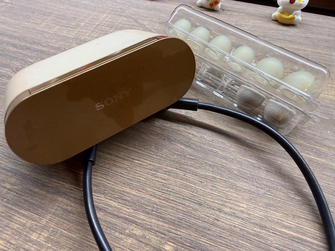Sony Wireless Headphones with Charging Case