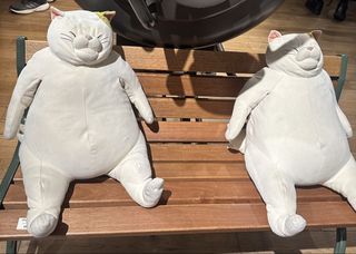 （分類：）位於 。 由 kitty_1212 提交（商品編號 1426995069，圖片 1）。簡介： 。