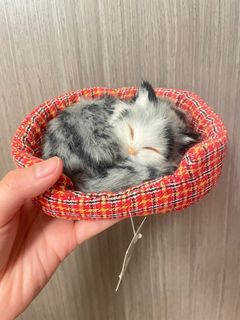 （分類：）位於 。 由 missbubbletea 提交（商品編號 1427133092，圖片 1）。簡介： 。
