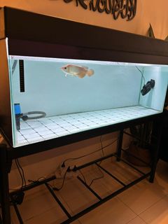 (Category: ) located in . Submitted by keyrail7882 (Listing ID 1427079383, Image 1). Description: .