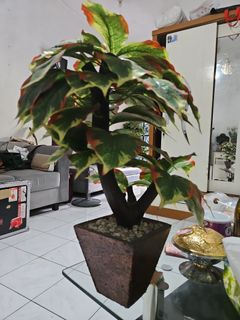 (Kategori: ) berada di . Dikirim oleh rumond (ID iklan 1426997062, Gambar 1). Deskripsi: .
