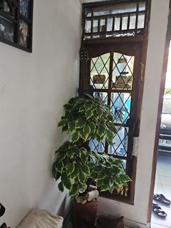 (Kategori: ) berada di . Dikirim oleh rumond (ID iklan 1427018088, Gambar 1). Deskripsi: .