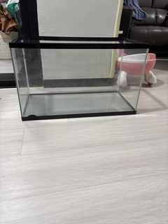 (Category: ) located in . Submitted by cakespoon (Listing ID 1427091953, Image 1). Description: .