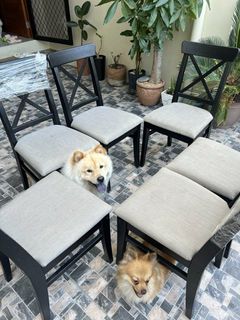 (Category: ) located in . Submitted by charmlabrador (Listing ID 1427054248, Image 1). Description: .