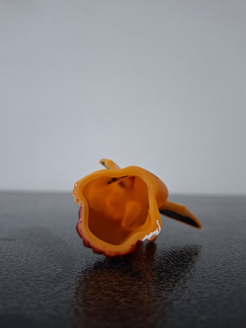 Pokemon Charizard Figurine (Category: Figurines & Statues) located in Antipolo. Submitted by cobys4 (Listing ID 1427136175, Image 3). Description: Payment thru GCASH PM lang if interested! Will ship via JNT or Lalamove if within area LOCATION: Antipolo Rizal.