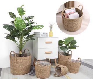 (Category: ) located in . Submitted by NellySales (Listing ID 1427112032, Image 1). Description: .