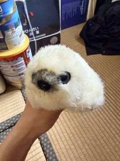 （分類：）位於 。 由 z23089628 提交（商品編號 1427091168，圖片 1）。簡介： 。