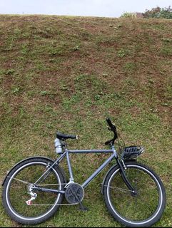 Sepeda kalcer Dijual | Carousell Indonesia