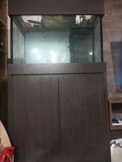 (Category: ) located in . Submitted by fastdeallai (Listing ID 1427104601, Image 1). Description: .