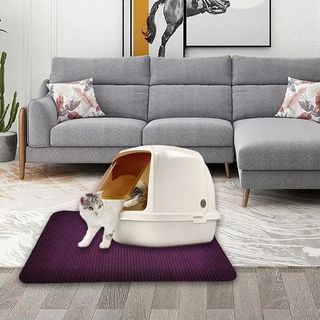 （分類：）位於 。 由 outlet729 提交（商品編號 1427076218，圖片 1）。簡介： 。