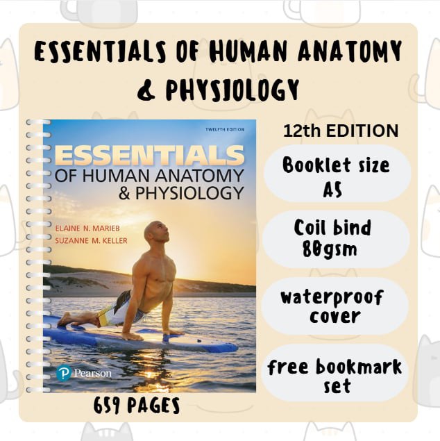 Essentials of Human Anatomy & Physiology 12th Edition, Hobbies & Toys ...