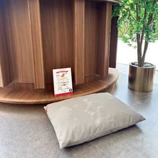 （分類：）位於 。 由 cheungfaifai09 提交（商品編號 1427263934，圖片 1）。簡介： 。