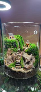 (Category: ) located in . Submitted by dtoyz (Listing ID 1427228012, Image 1). Description: .