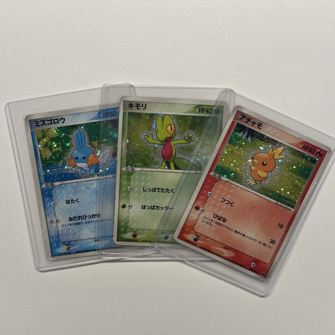 [Set] 2003 Vintage Holo Mudkip Treecko Torchic Japanese Constructed ...