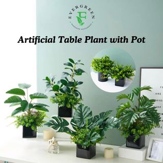 (Category: ) located in . Submitted by evergreen_gardening (Listing ID 1427213940, Image 1). Description: .