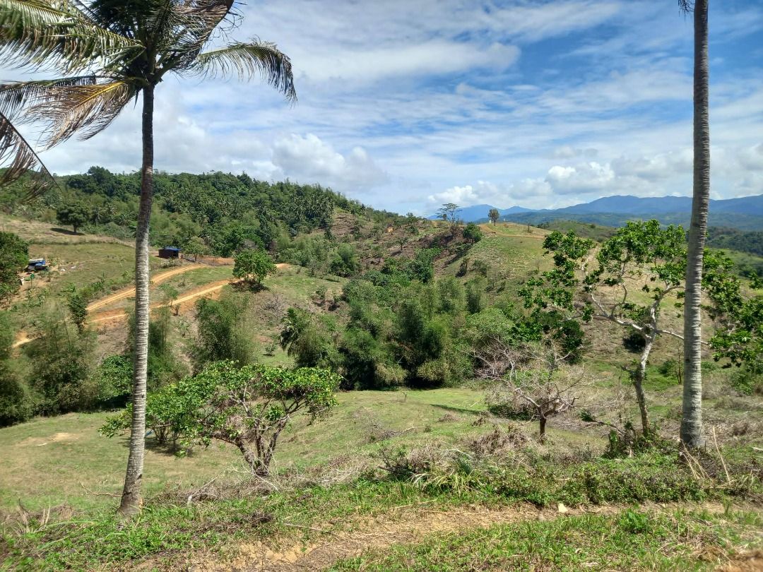 Tanay Farm lots pre selling Sampaloc Tanay Rizal, Property, For Sale ...