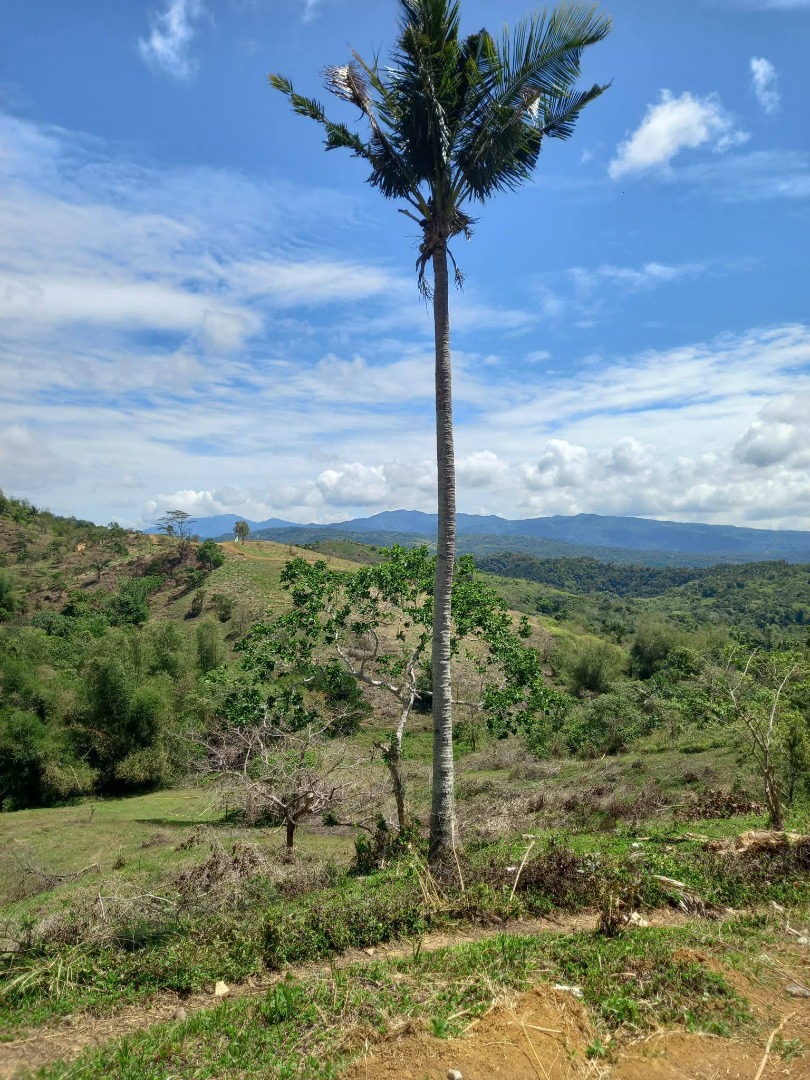 Tanay Farm lots pre selling Sampaloc Tanay Rizal, Property, For Sale ...