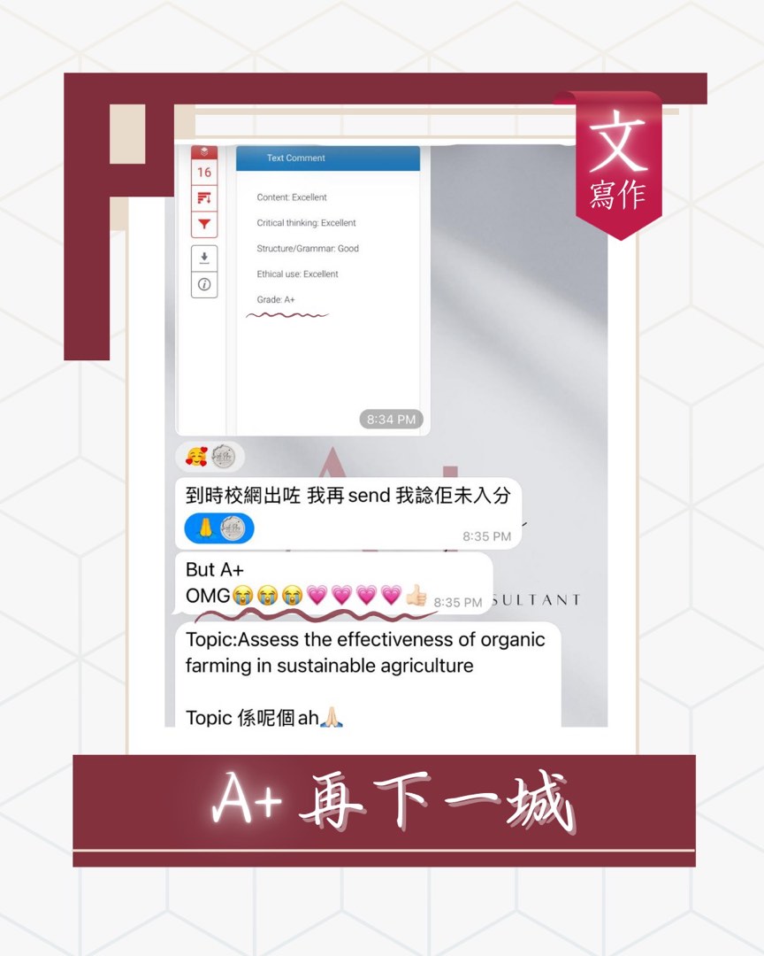 (分類:)位於 。 由 aplus.modacentre 提交(商品編號 1216042127,圖片 1)。簡介: 。