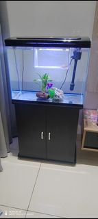 (Category: ) located in . Submitted by natalie_kps17 (Listing ID 1427445818, Image 1). Description: .