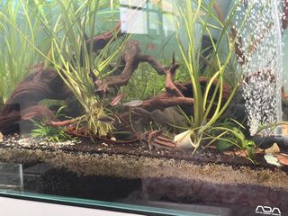(Category: ) located in . Submitted by rollsngrooves (Listing ID 1427397253, Image 1). Description: .