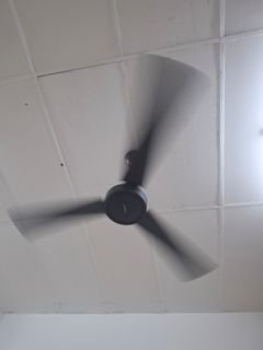 (Category: ) located in . Submitted by bungakl (Listing ID 1427324540, Image 1). Description: .