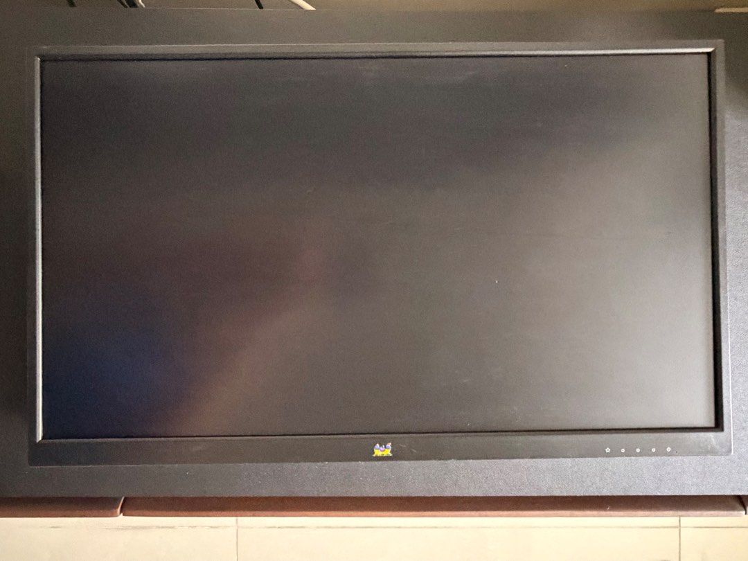 Viewsonic VA2410-MH413283297401262080