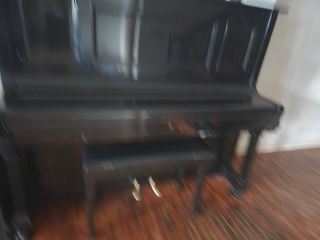 (Category: ) located in . Submitted by joyrj1 (Listing ID 1424239813, Image 1). Description: .