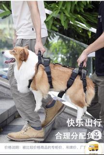 （分類：）位於 。 由 lizzy_holiday 提交（商品編號 1424327497，圖片 1）。簡介： 。