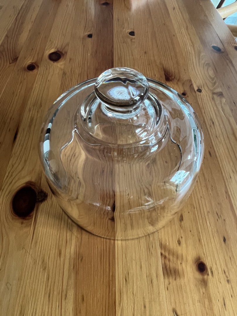 Glassware - Plate and cover470505496595681284