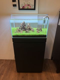 (Category: ) located in . Submitted by isaiahravin (Listing ID 1424265777, Image 1). Description: .