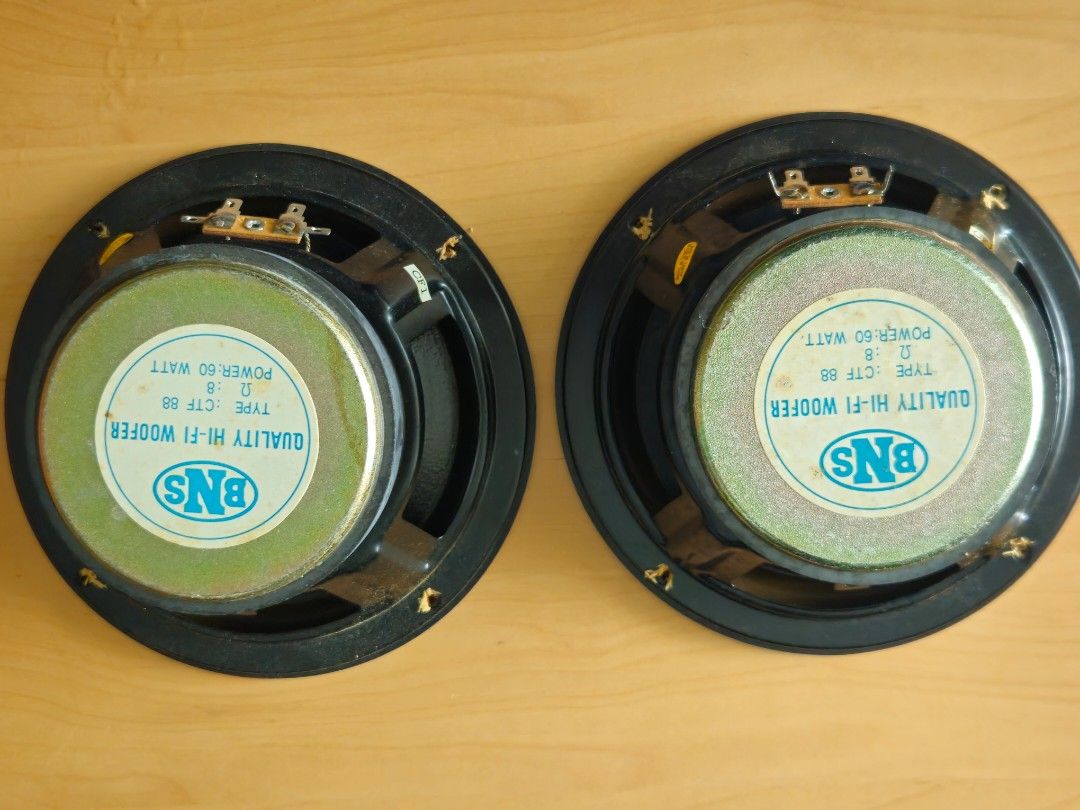 Speaker65749900062466111