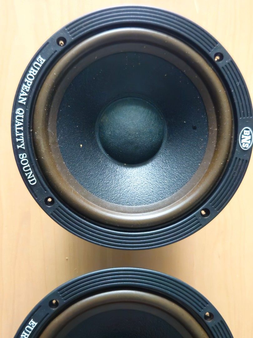 Speaker65749900062466110