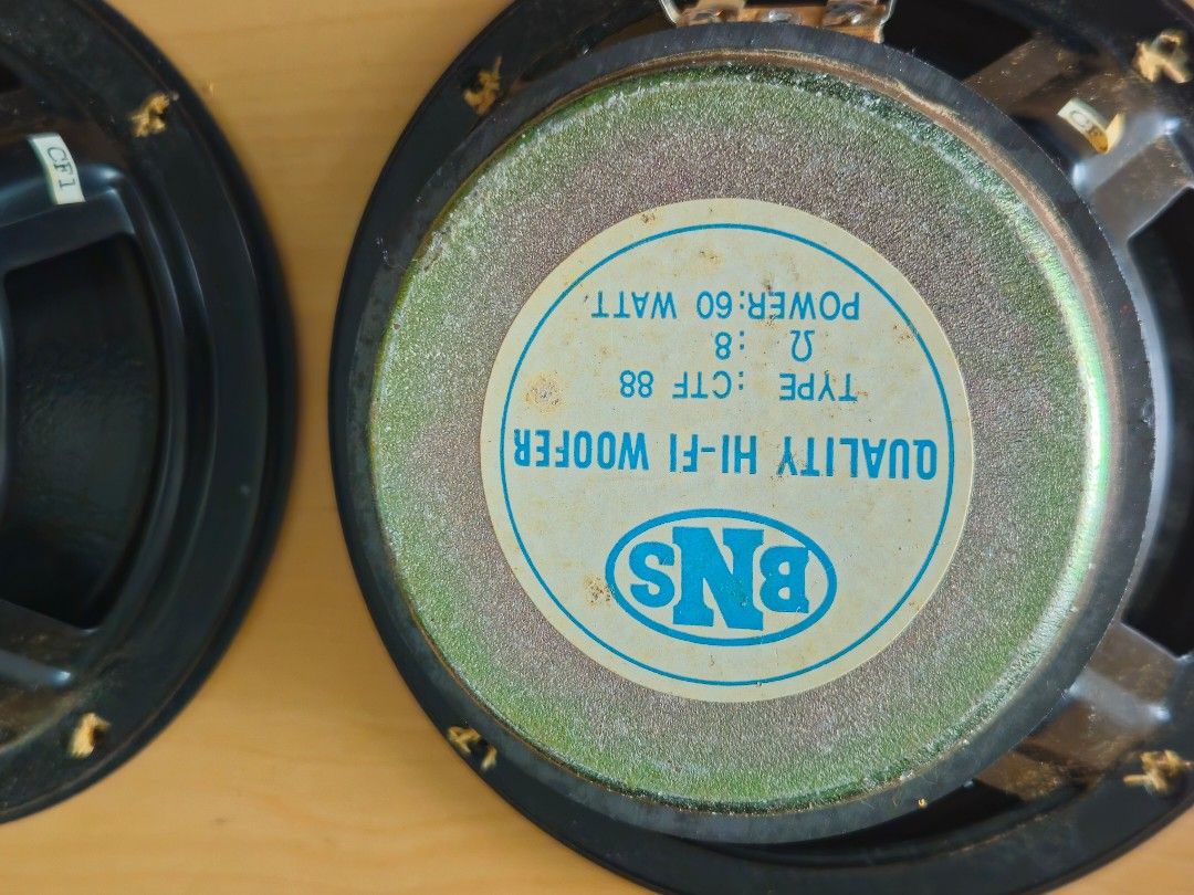 Speaker65749900062466113