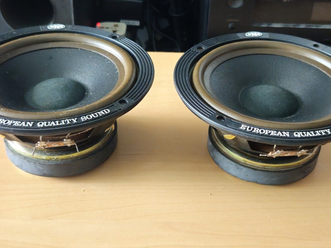 Speaker65749900062466116