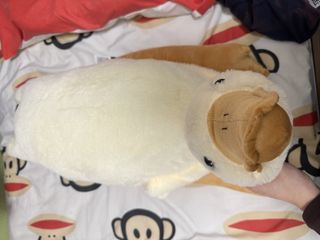 （分類：）位於 。 由 43140624 提交（商品編號 1424306675，圖片 1）。簡介： 。