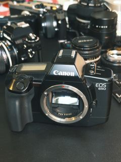 フィルムカメラ FILM CAMERA Collection item 2