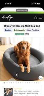 (Category: ) located in . Submitted by thriftbuysss (Listing ID 1427625787, Image 1). Description: .
