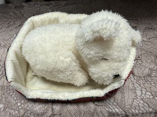 （分類：）位於 。 由 shin610 提交（商品編號 1427571408，圖片 1）。簡介： 。