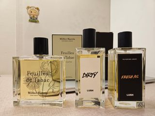 由 fvtoci (刊登 ID 1427626388，圖片 1) 提交，位於 的 (類別：)，說明：。