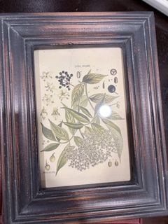 (Category: ) located in . Submitted by loveharmony0 (Listing ID 1427632368, Image 1). Description: .