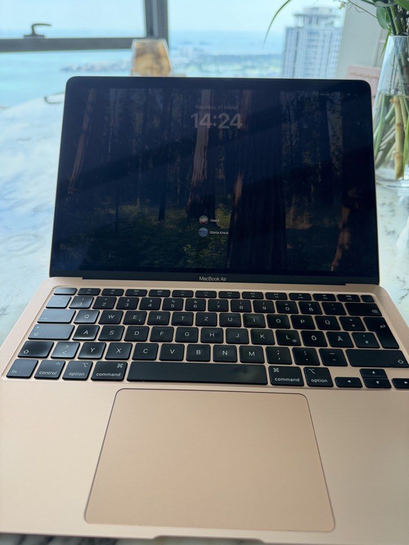 Apple MacBook Air - Rose Gold405942519726745605