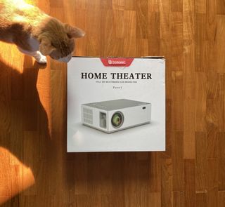 (Category: ) located in . Submitted by lillyeggy (Listing ID 1427706322, Image 1). Description: .