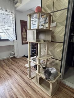 (Category: ) located in . Submitted by Luqzz (Listing ID 1427751336, Image 1). Description: .
