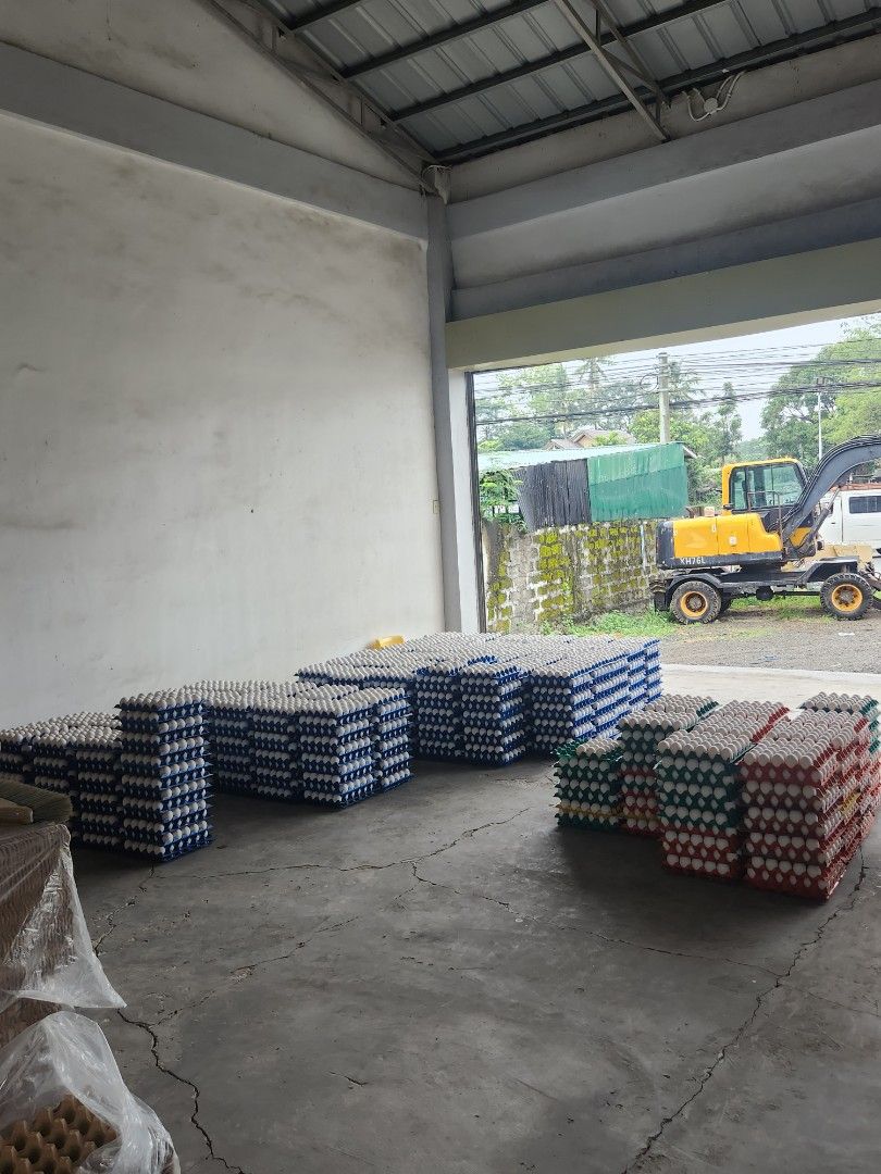 Farm Fresh Eggs (Category: Other Food & Drinks) located in Manila. Submitted by roxasagriculturalfarm (Listing ID 1353997163, Image 2). Description: Roxas Agro - Farming "We cultivate Crops and raise Livestocks" Farm fresh eggs 🥚🥚🥚 RTL farm (own harvest) 🐓🐓 Looking for regular clients "wholesaler" Pick up only Loc: Pangao Ibaan Batangas 📌 Price depends on supply & demand 🤝.