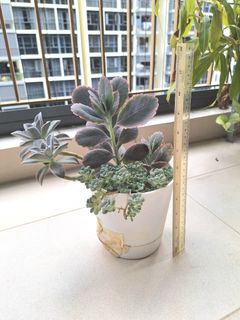 (Category: ) located in . Submitted by f.w27 (Listing ID 1427712377, Image 1). Description: .