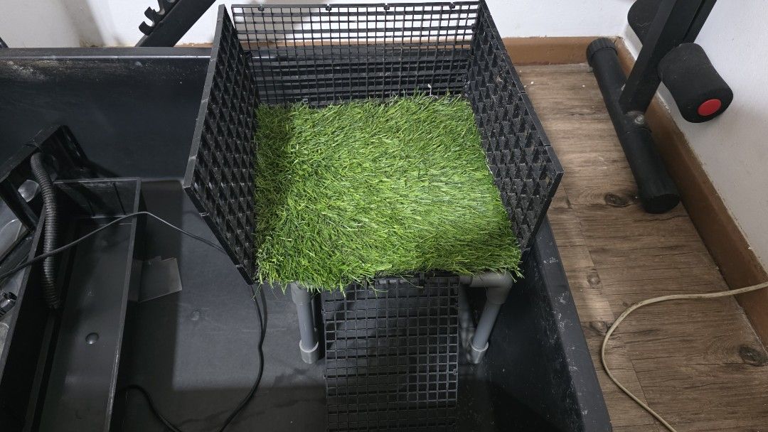 Turtle Setup Kit (Category: Homes & Other Pet Accessories) located in Singapore. Submitted by aabi98 (Listing ID 1427664420, Image 4). Description: 120 litre Turtle tub inclusive of basking platform, 1200 l/hr submersible pump and overhead filter.