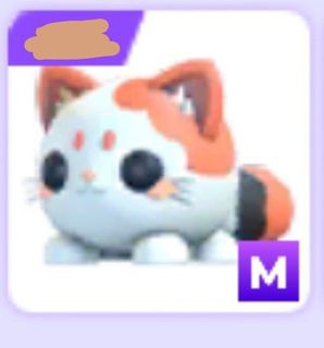 (Category: ) located in . Submitted by cleverdragon-0b66 (Listing ID 1427927965, Image 1). Description: .