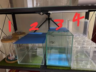 (Category: ) located in . Submitted by iamray (Listing ID 1427820506, Image 1). Description: .