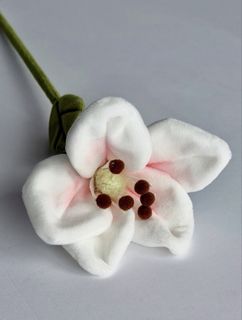 （分類：）位於 。 由 aloha.aloha 提交（商品編號 1427799809，圖片 1）。簡介： 。
